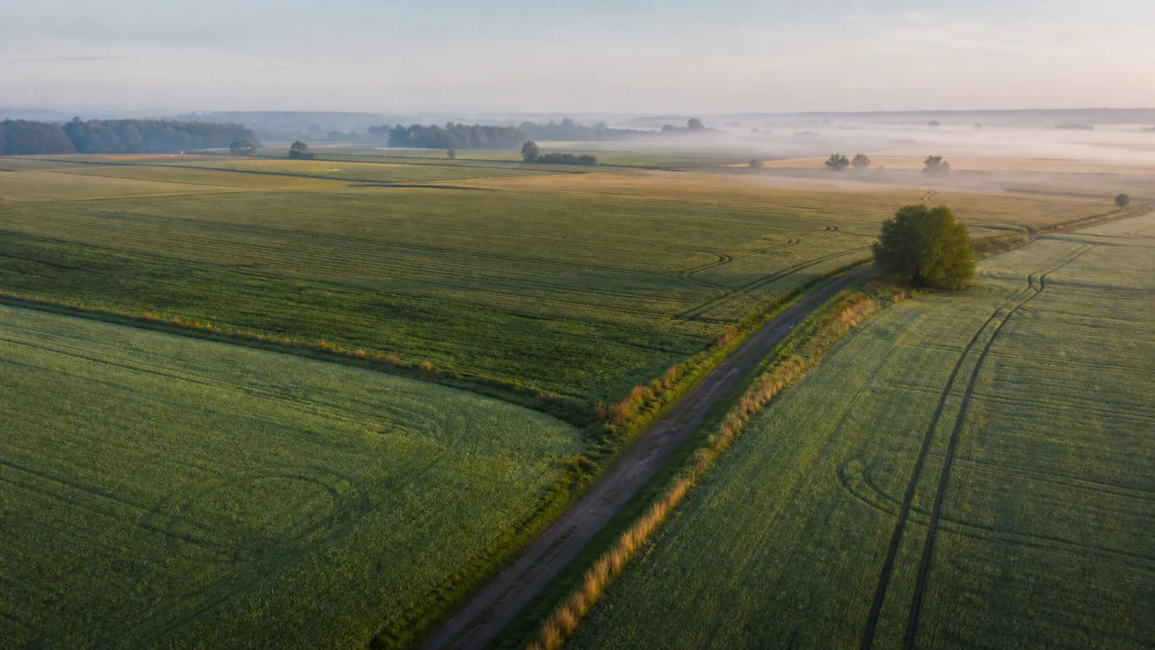 Co z dzierżawą ziemi w restrukturyzacji gospodarstwa?
